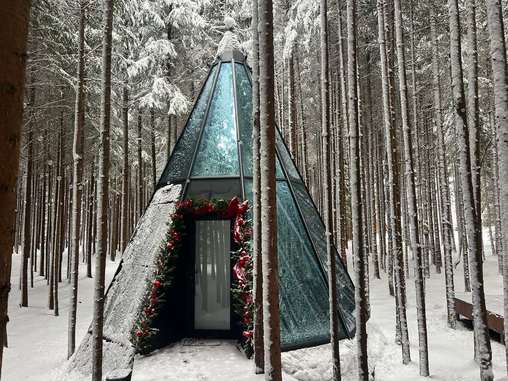 Коттедж Дом-пирамида с 360 панорамой на лес — аренда посуточно в Истра