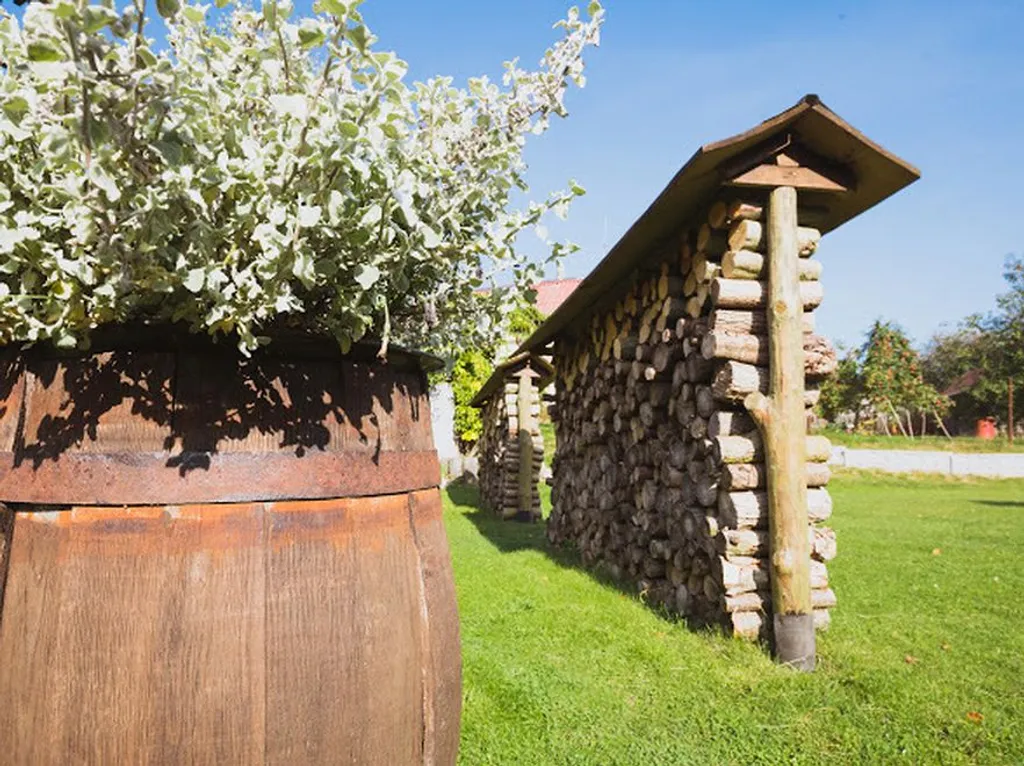 Шале под Минском