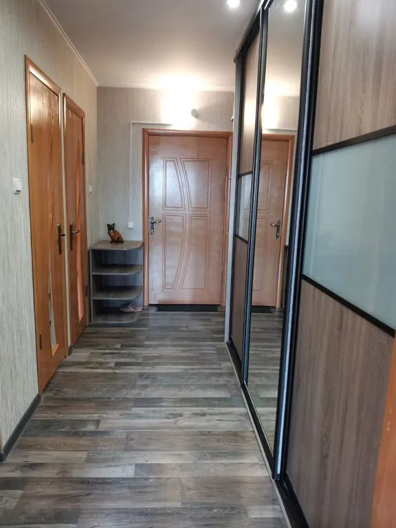 Солнечный Кот