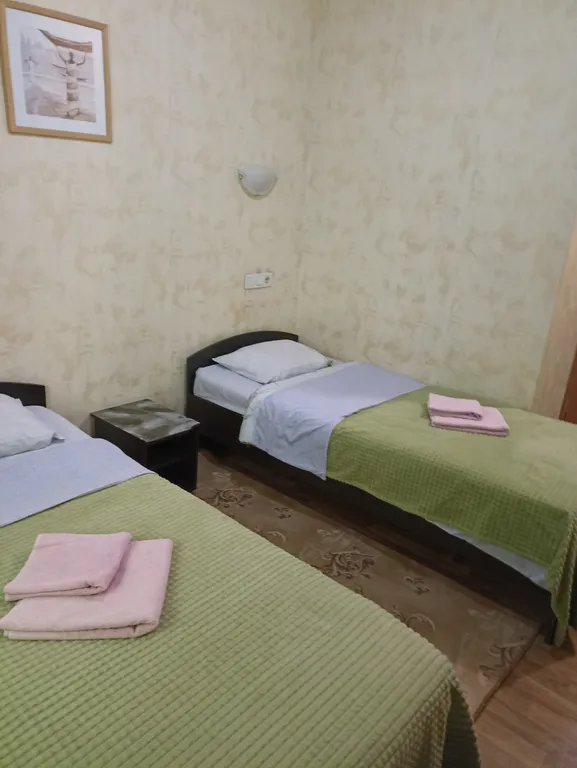 Двухместный номер стандарт с 2 односпальными кроватями