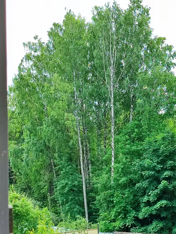 Домик в Токсово около озера