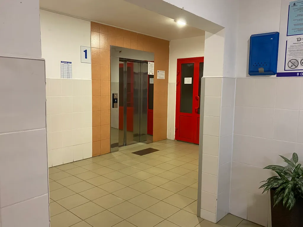 Квартира У леса