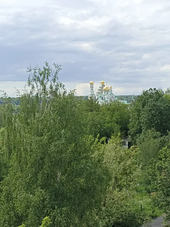 Студия с видом на монастырь