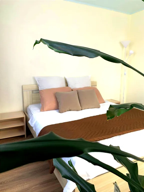 Двухкомнатная квартира с кондиционером в центре города