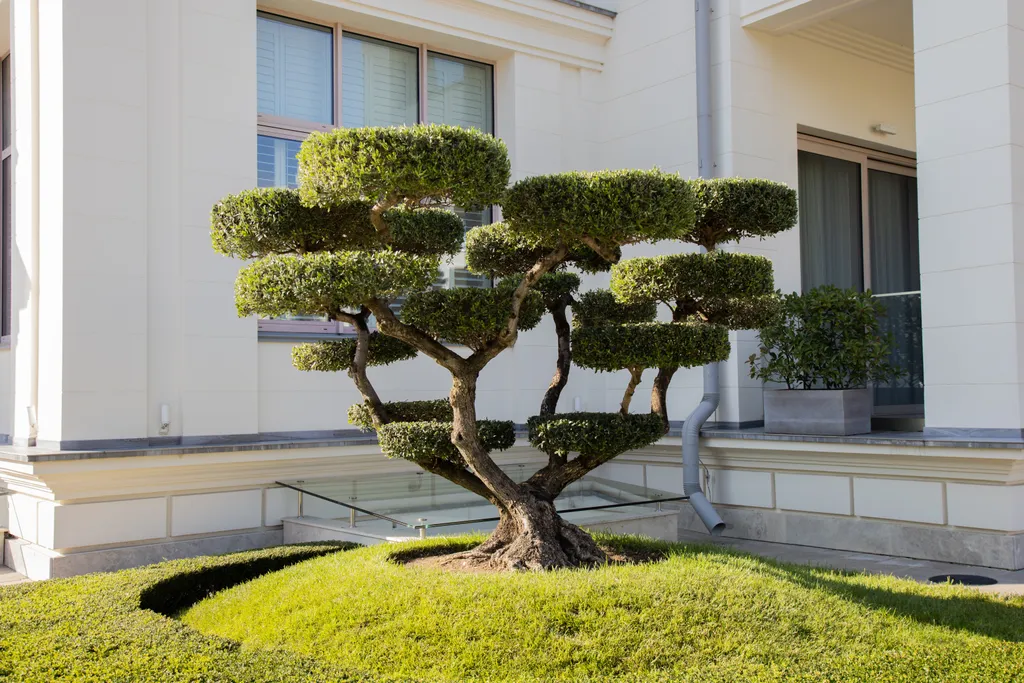 Стильный апартамент в элитном комплексе "Гранд Роял"