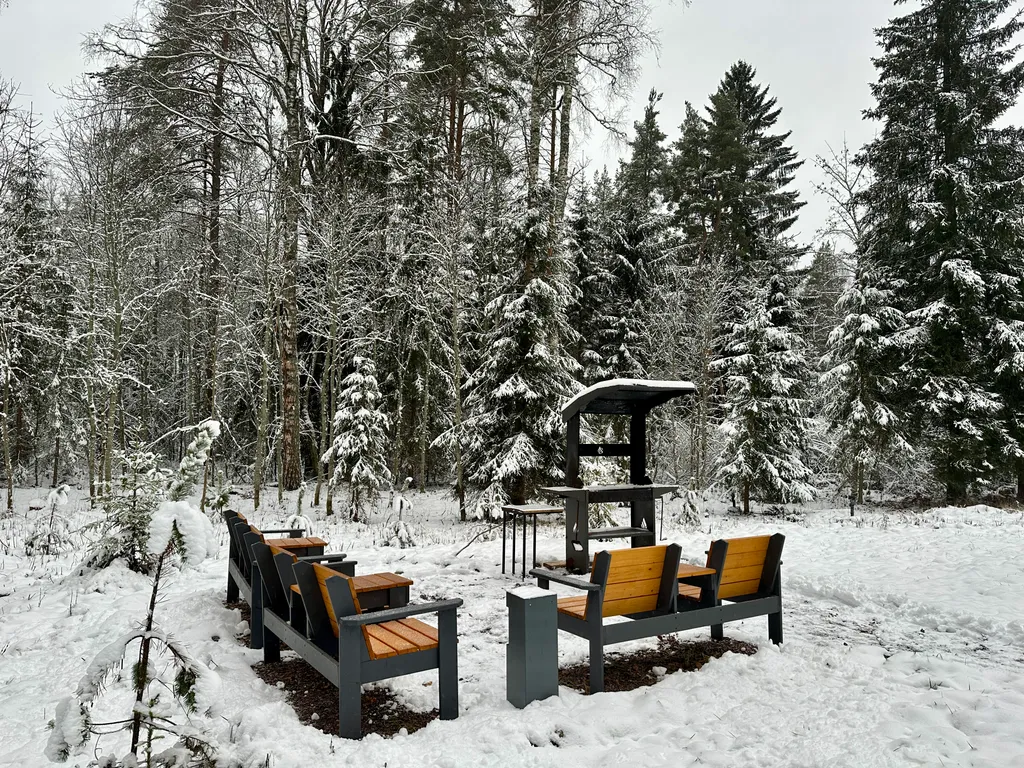 Дом с панорамными окнами в лес