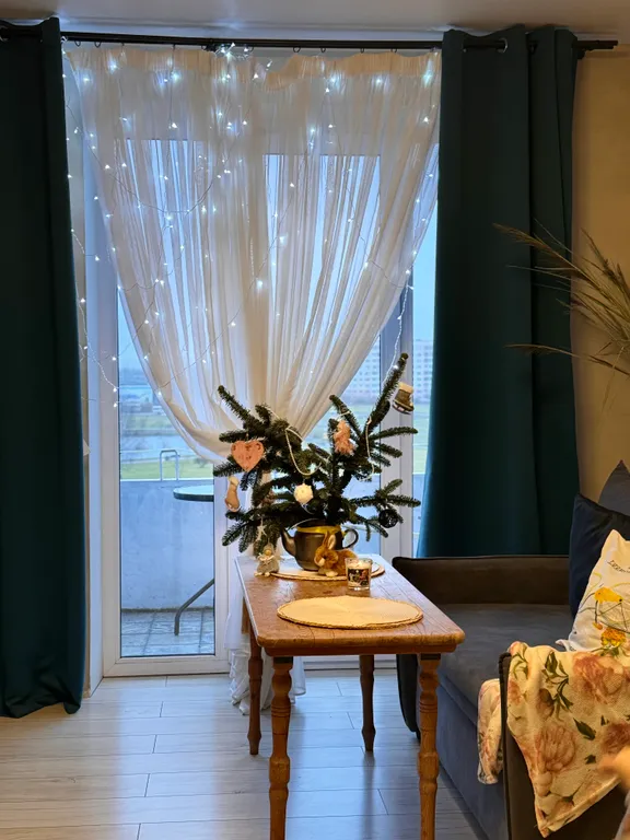 Та самая однокомнатная квартира у пруда на Новогодние праздники