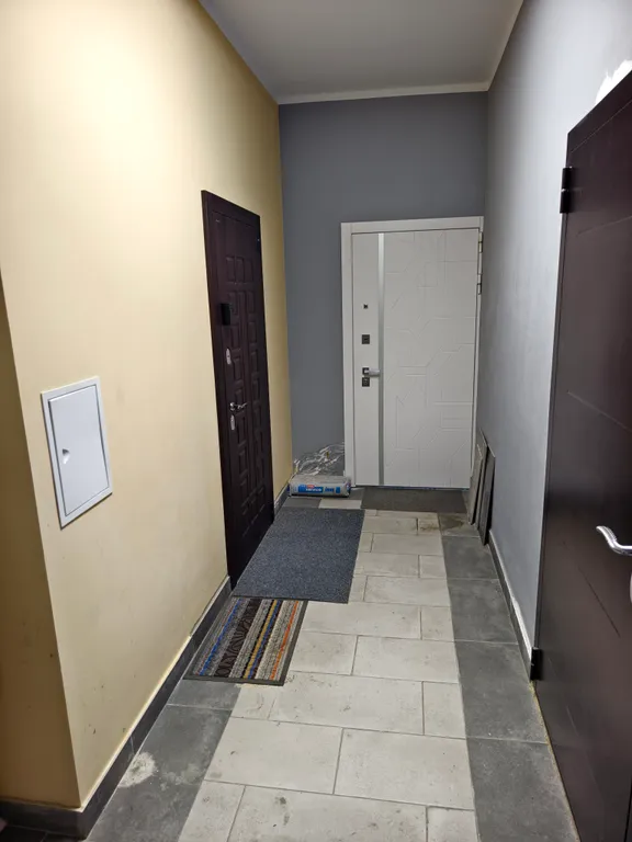 Квартира Добрые сутки — Мещерино