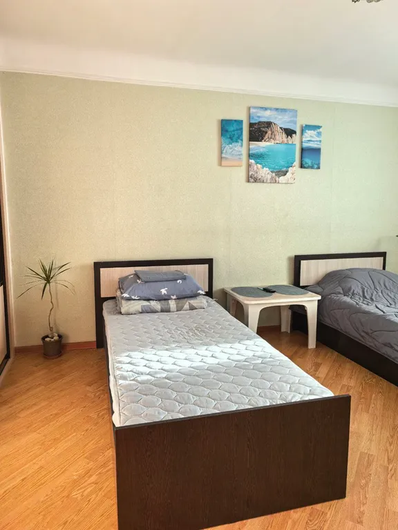 Уютная большая квартира в центре города