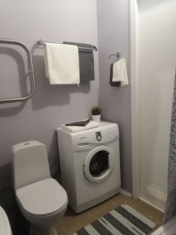 Уютная однокомнатная квартира в Ивушках