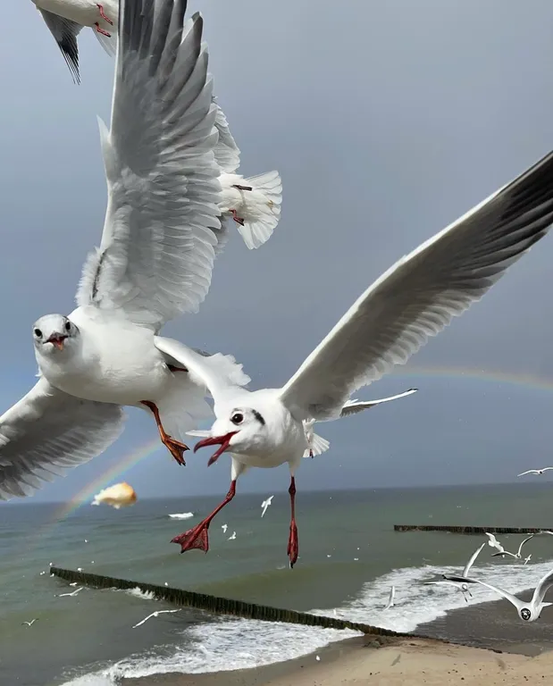 Квартира Квартира Прекрасный старый дом — Калининград