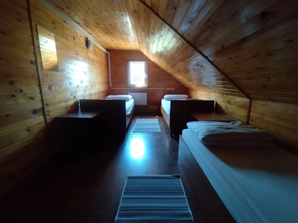 Дом через сосновый лес у Балтийского моря