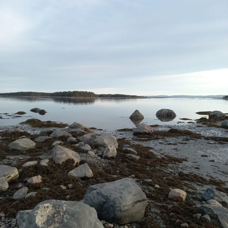 Гостевой дом