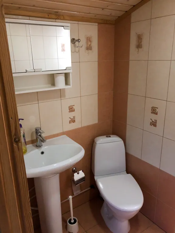 Домик с сауной и мангалом