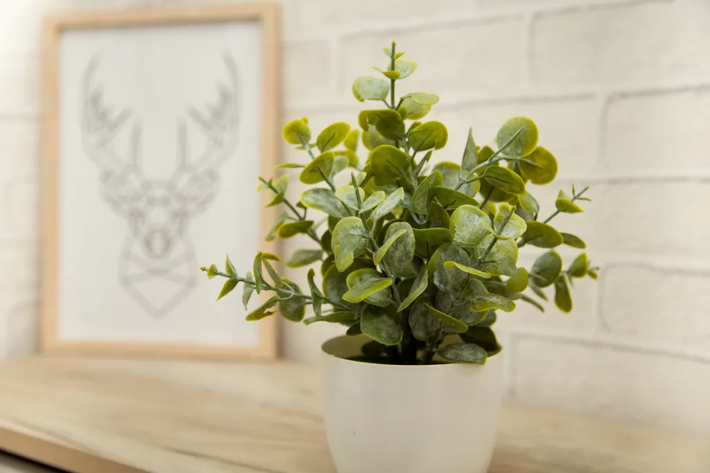 Квартира Апартаменты с актуальным ремонтом — Ярославль