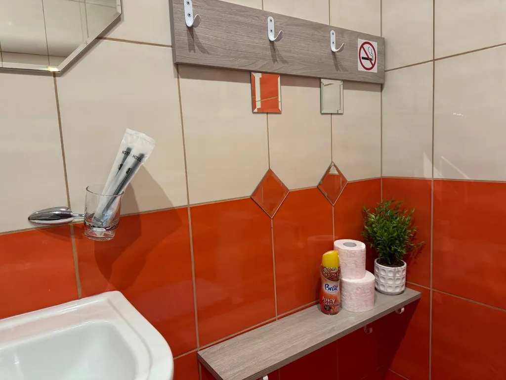 Квартира Апартаменты Дайкири — Светлогорск