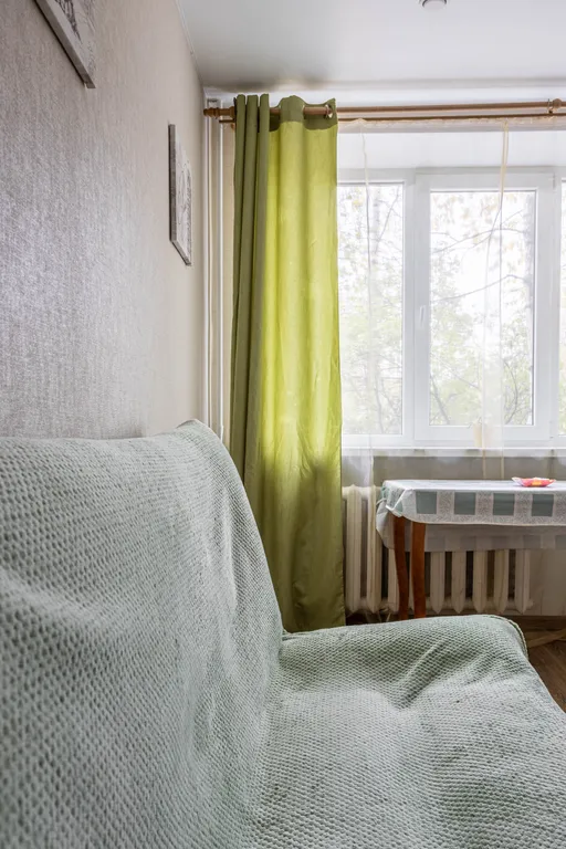 Большая однокомнатная квартира на Красной