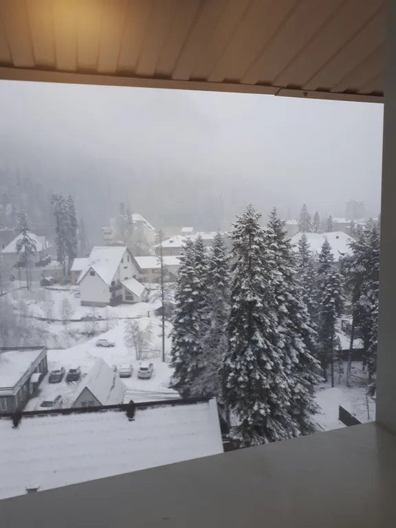 Номер отельного типа с видом на Домбай и лес