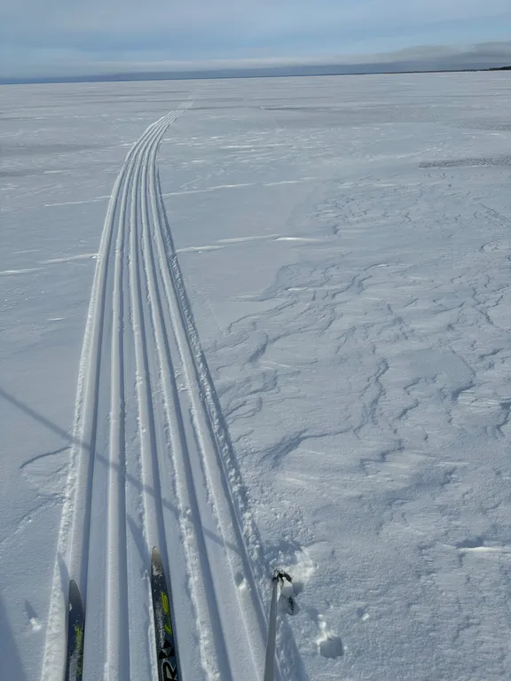 Дом на берегу Псковского озера