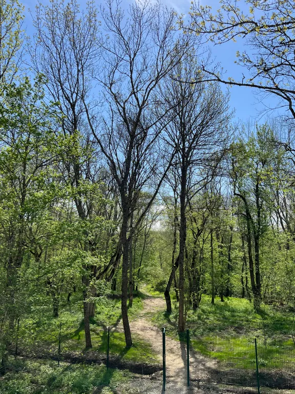 Коттедж Уютный дом с джакузи в лесу недалеко от Краснодара — Северская