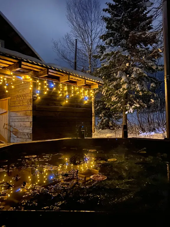 Коттедж Кедровый дом в лесу с панорамным окном и красивым видом на горы — Шерегеш