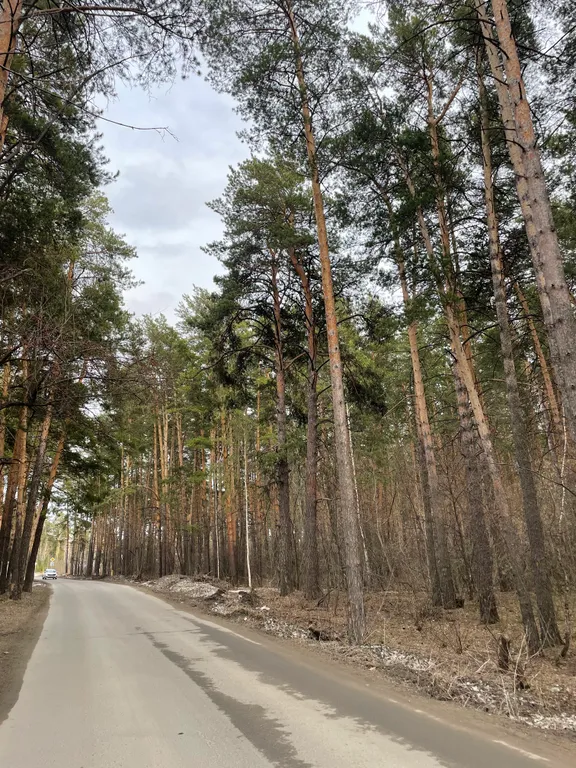 Квартира Квартира Уютная квартирка с видом на лес — Барнаул