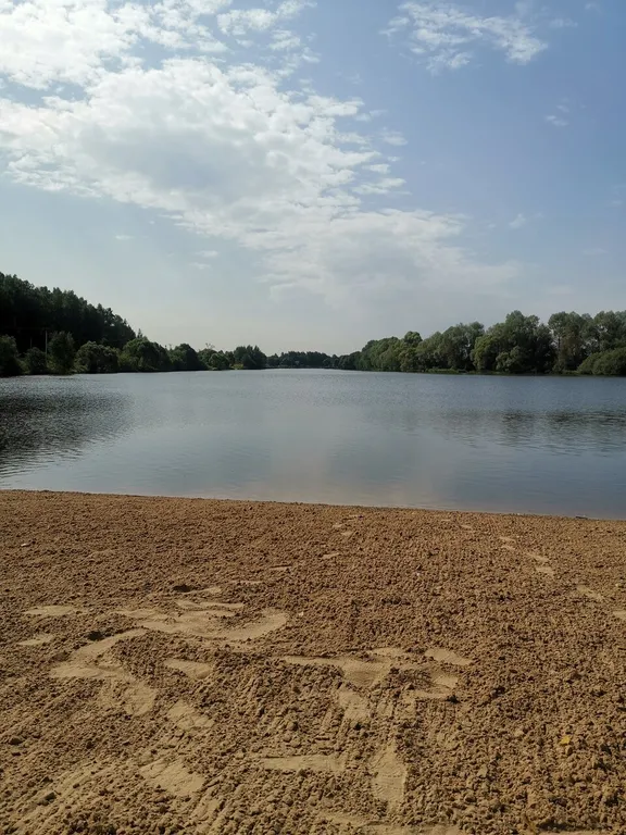 Стильный барнхаус с сауной, камином и панорамой