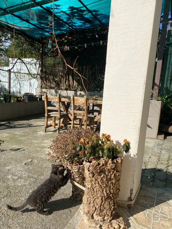 Дом под ключ