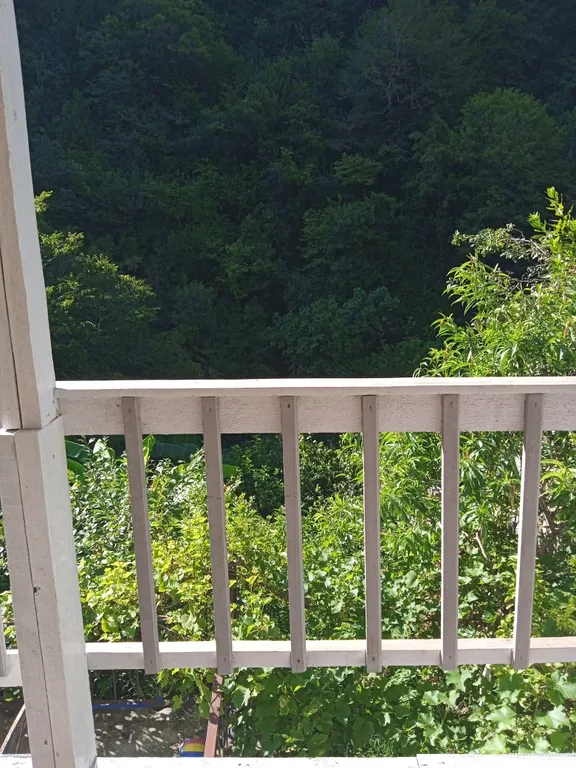 Домик с видом на лес и на море