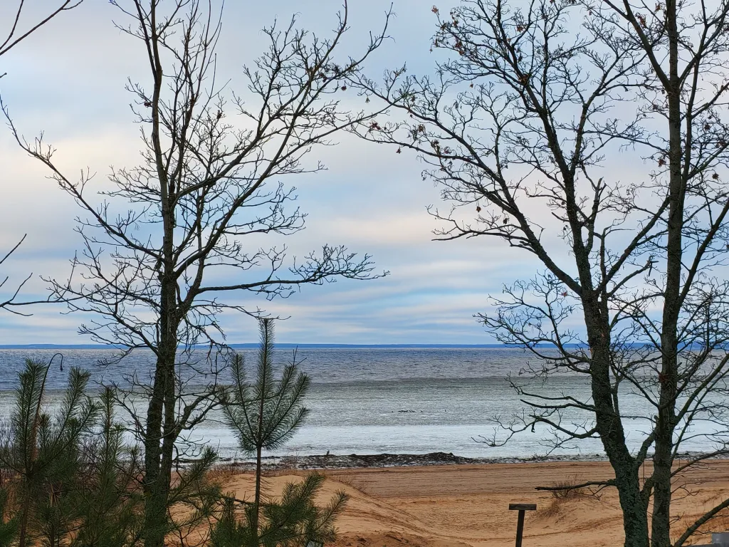 Квартира с кухней-гостиной рядом с озером Разлив