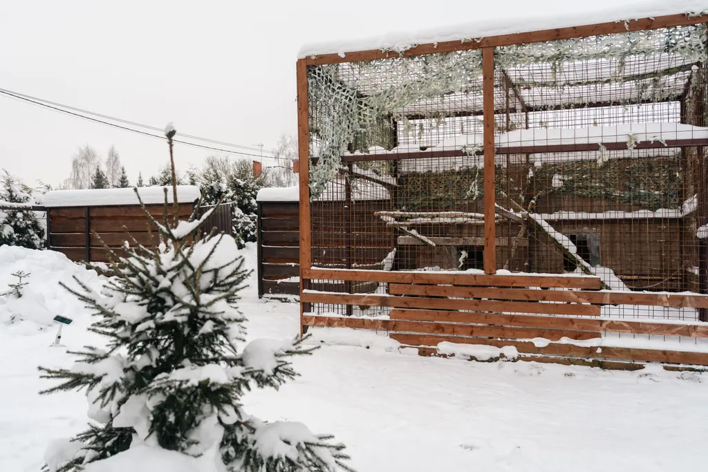 Дом с каракалами, банeй на дpовax, мангалом и казaном