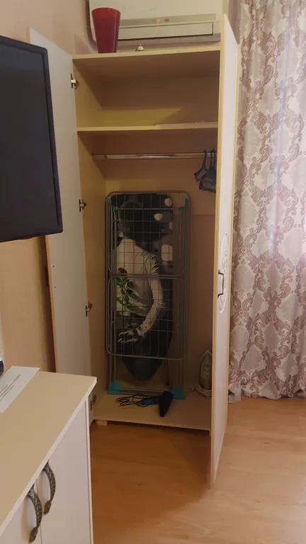 Квартира Уютная однокомнатная квартира в пяти минутах от Нового Херсонеса — Севастополь