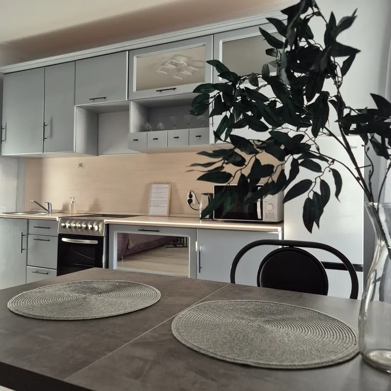 Квартира Каролина в центре