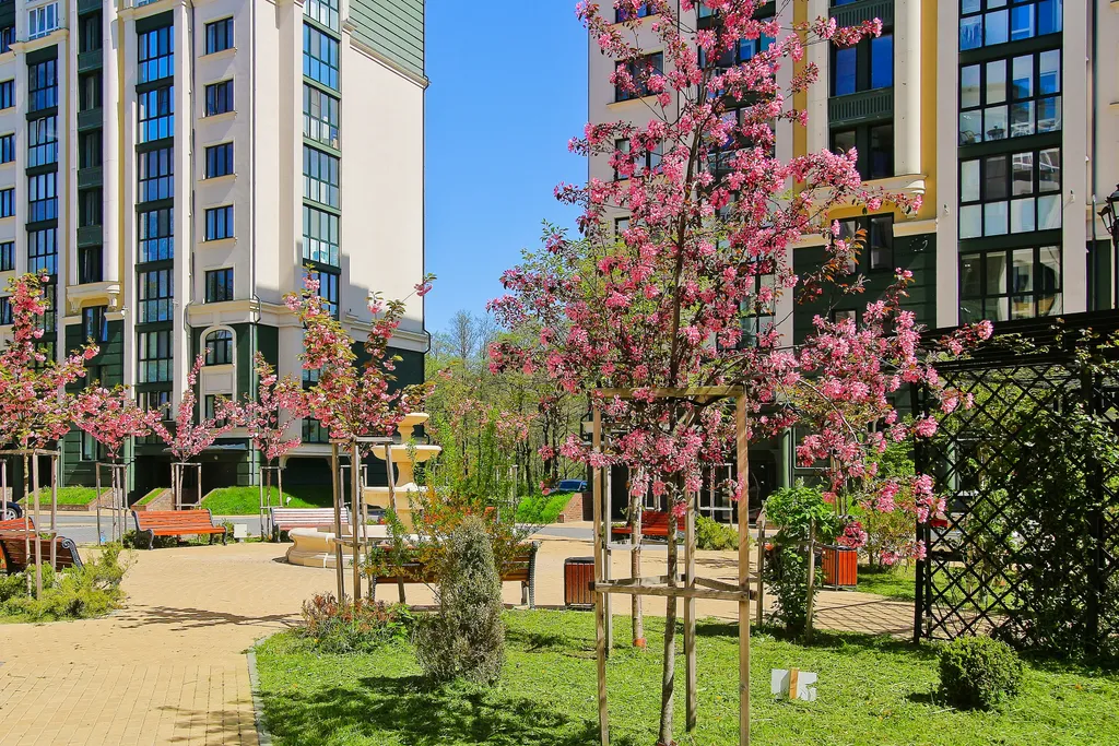 Апартамент Очаг