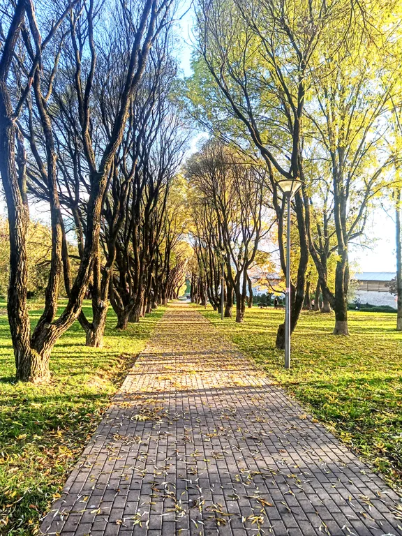 Двухкомнатная квартира в историческом центре города