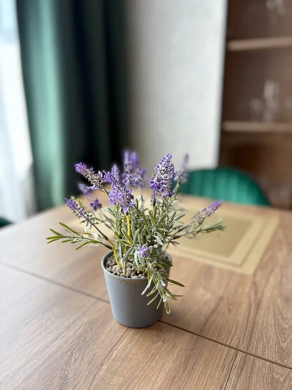 Уютная квартира рядом с набережной и историческим центром города.