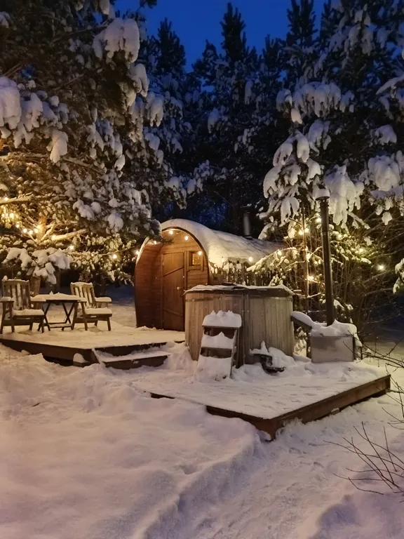 Домик с баней и купелью на дровах на участке 20 соток