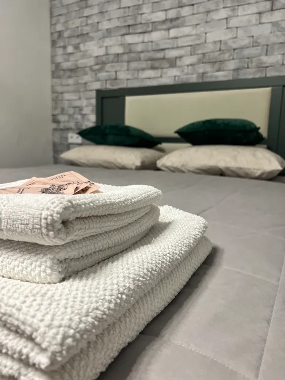 Квартира Дизайнерские Апартаменты Железноводск — аренда посуточно в Железноводск