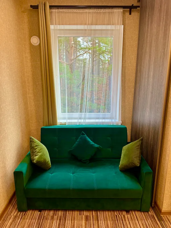 Уютная студия в сосновом лесу