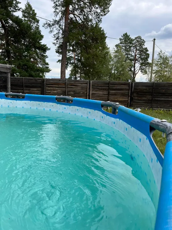 Отдых в Бузулукском бору круглый год с выходом в лес.