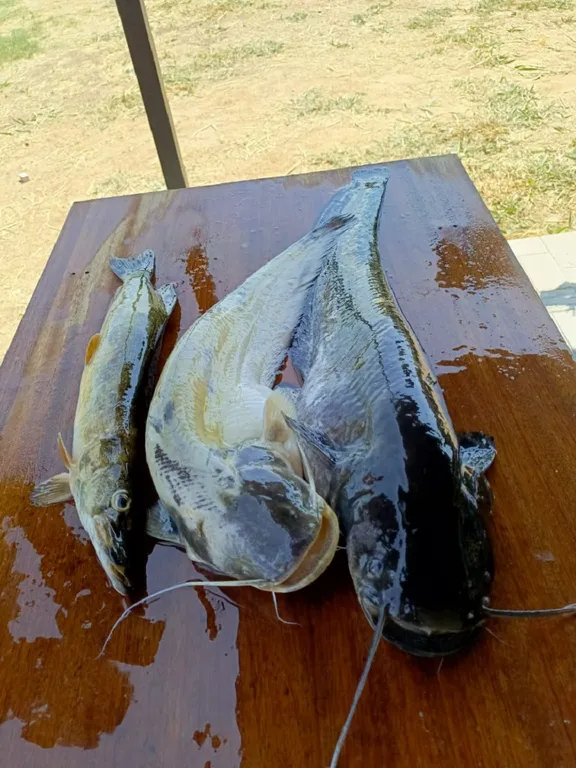 Уютный домик рыбака