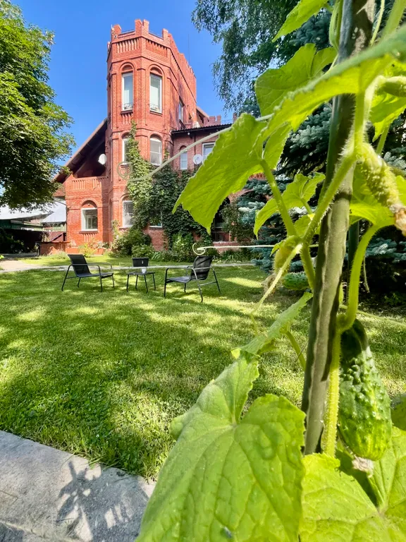 Номер с интернетом и рабочим столом