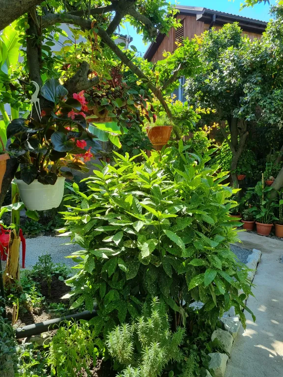 Рядом с морем для тебя,центральная набережная