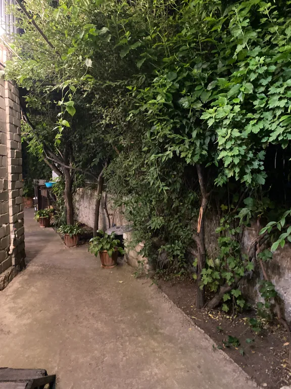 У самого синего моря