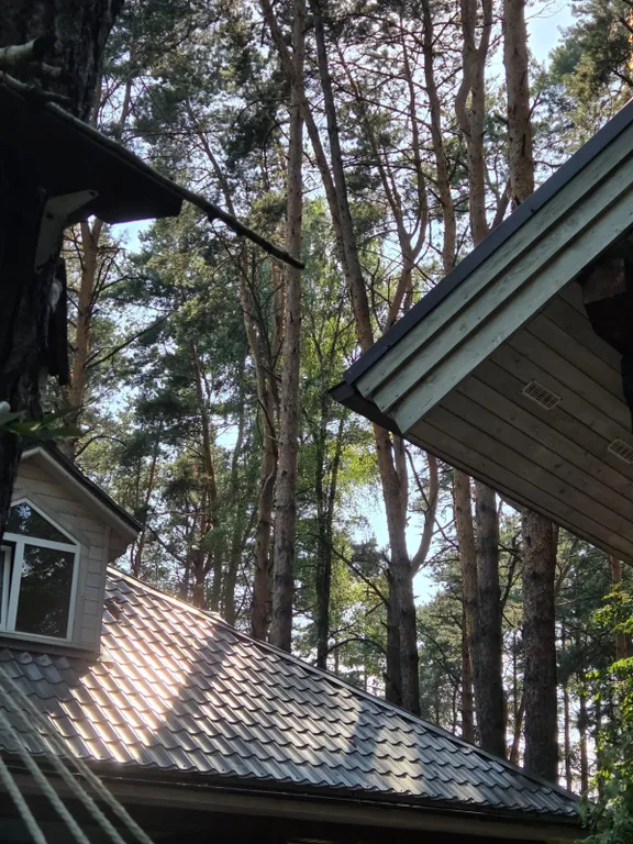 Уютный коттедж в сосновом лесу рядом с Москвой