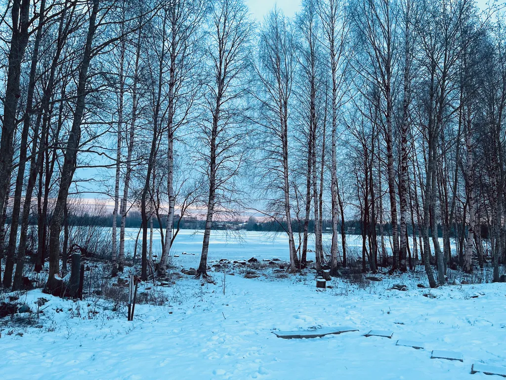 Гостевой дом в стиле А-фрейм Suvi в Карелии