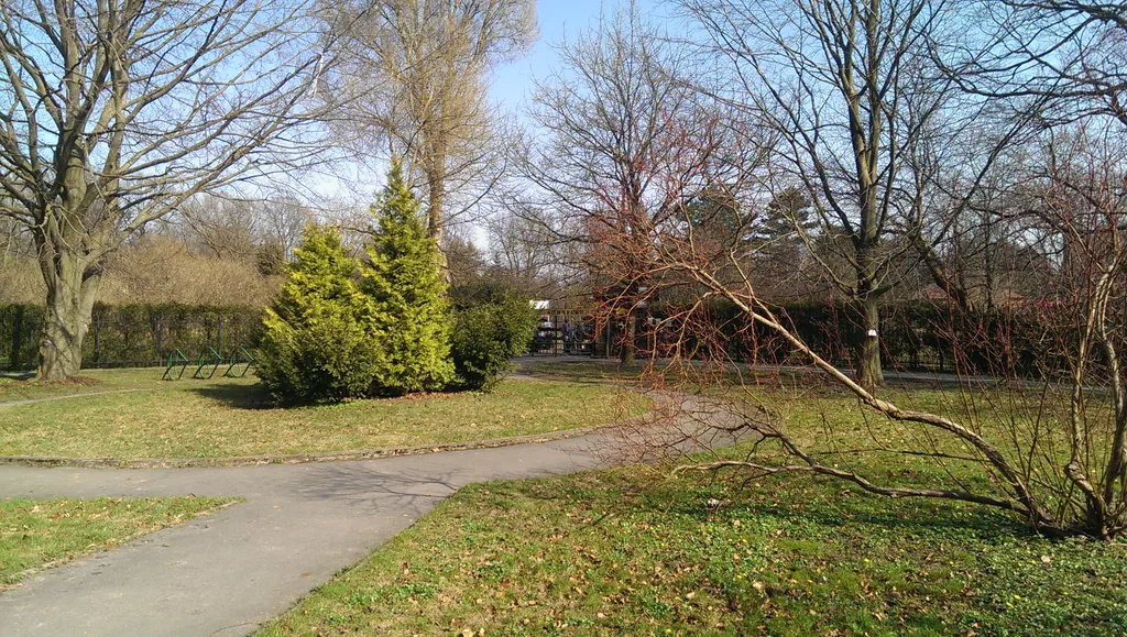 У ботанического сада