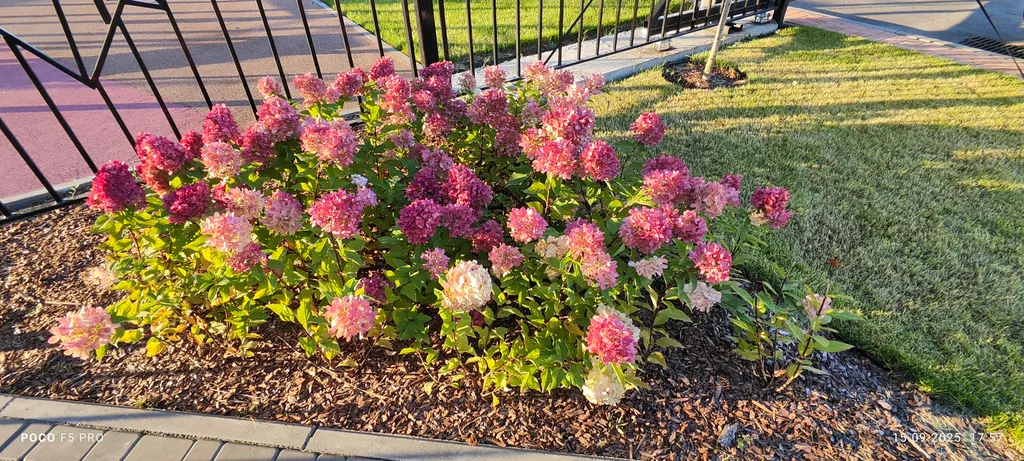 Уютная студия недалеко от Авиастара