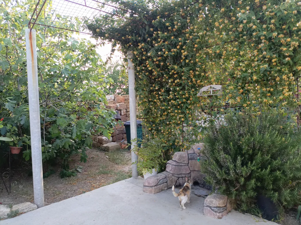 Стандарт двухместный с личной кухней