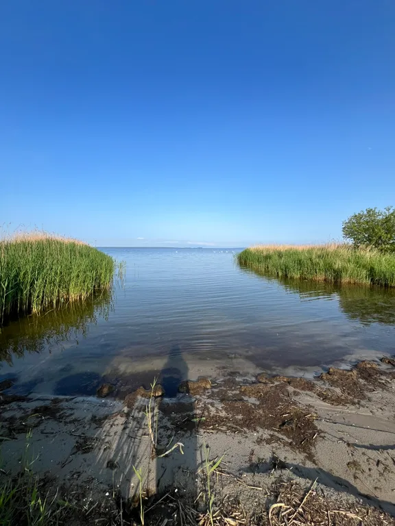 Уютный домик в сосновом бору на берегу моря